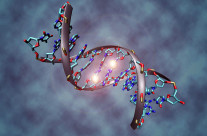 Introduction to Epigenetics-Are You Doomed By Your Family Tree?