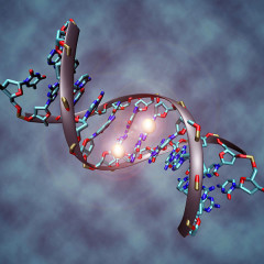 Introduction to Epigenetics-Are You Doomed By Your Family Tree?