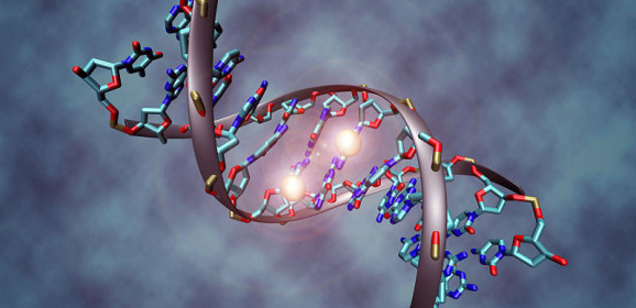 Introduction to Epigenetics-Are You Doomed By Your Family Tree?