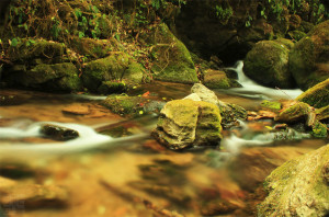 meditation-pond