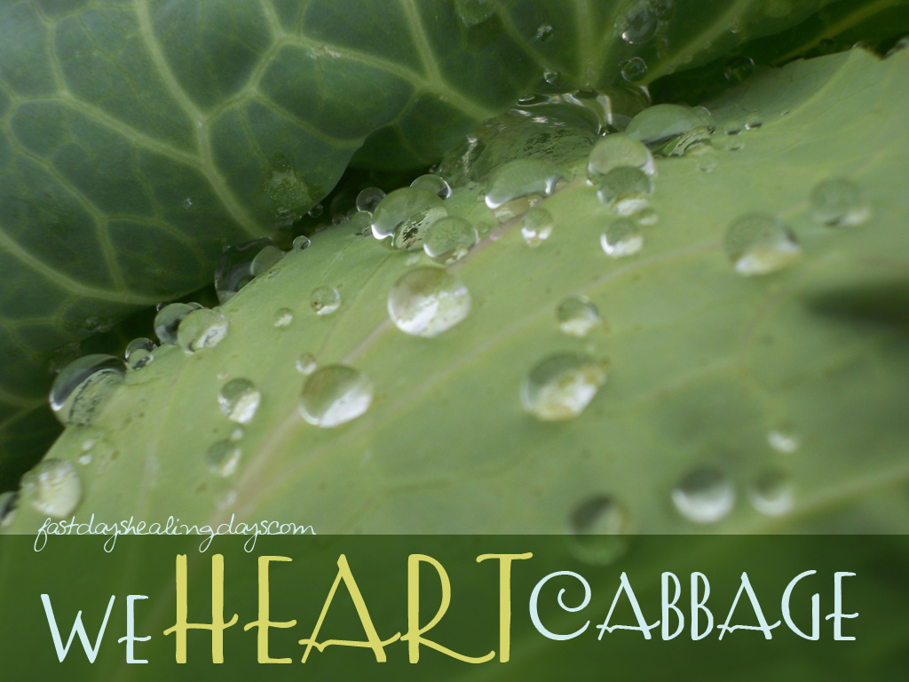 we-heart-cabbage